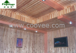 供應高溫瑜伽房