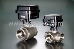 供应 NIPPON VALVE CONTROLS, INC