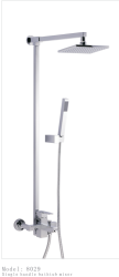 淋浴水龍頭/單把淋浴水龍頭