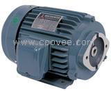 供应台湾SHEN YU INDUSTRIAL CO.,LTD 电机5HP 3.75KW 2HP