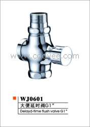 供應WJ0601大便延時閥G1