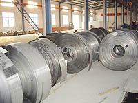 供應310S不銹鋼帶