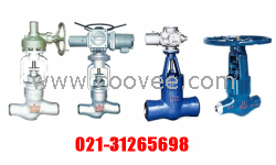 供應電站截止閥