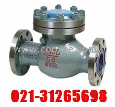 供應旋啟式止回閥