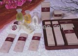 供應(yīng)酒店客房一次性用品