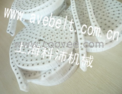 供應BS塑料鏈條