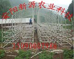 供應新型無支柱蔬菜大棚骨架機，安陽新源