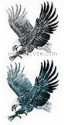 供應(yīng)紋身貼紙