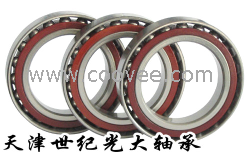 供應FAG軸承6319軸承-世紀光大