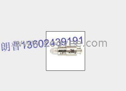 供應里斯特 RIESTER 10600 檢耳燈泡