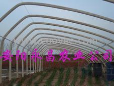 新型高科技阳光温室大棚骨架机