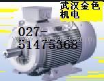 供应湖北贝得电机武汉直销