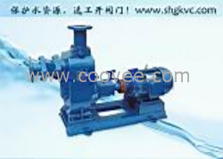 供應自吸式排污泵