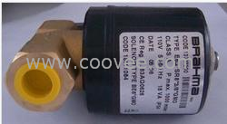 Brahma電磁閥供應(yīng)