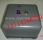 現貨供應燃燒控制器RA890F1452X2