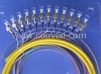 供應(yīng)12芯束狀尾纖