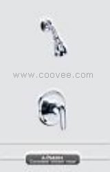 淋浴水龍頭/暗裝淋浴水龍頭