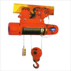 BCD electric hoist