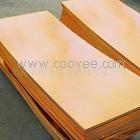 供應Cu-HCP(CW021A) Cu-PHCE(CW022A) CuBe1.7(CW100C)