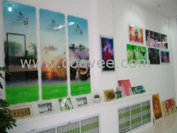 供應武漢冰晶畫設備的開創者