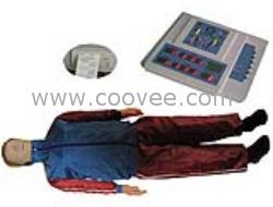 供應心肺復蘇模擬人