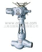 供應電站截止閥