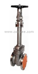 供應波紋管閘閥