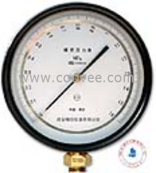 供應精密壓力表 西安云儀質量好貨期快