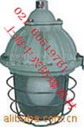 供應BAD55-e防爆燈 