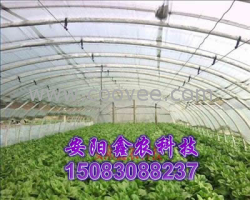 供应温室大棚 蔬菜大棚 新型大棚-安阳鑫农科技