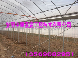 供應多功能大棚支架機 鋼管鍍塑花卉大棚 中原溫室工程