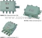 供应BJX（e)-CJX(IIC)系列防爆接线箱