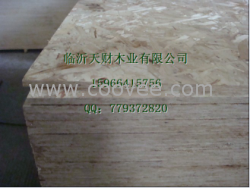 供應(yīng)OSB1、OSB2、OSB3刨花板生產(chǎn)廠家臨沂天財木業(yè)