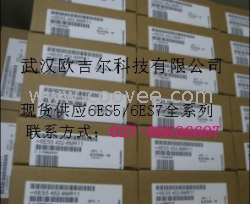 武漢歐吉爾供應6ES7 841-0CC00-2YX0