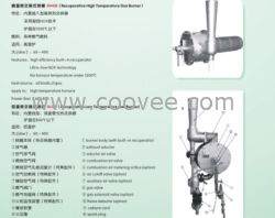 供应内置式热交换器烧嘴