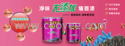 莊典漆中國涂料品牌，涂料企業(yè)，世