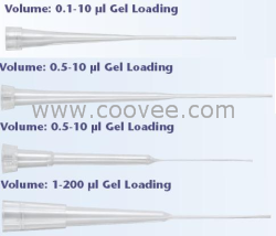 103-R204S|标准凝胶点样吸头|T