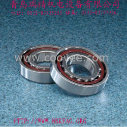 NSK軸承607ZZ1,607VVCM,