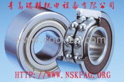 NSK軸承 22228SWRCDg2E4