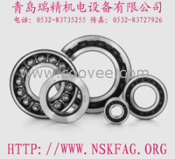 NSK軸承 22232SWRCDg2E4