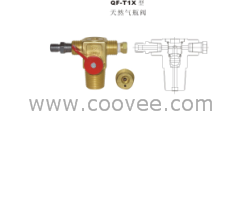 QF-T1X天然气瓶阀