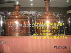 中國啤酒設備廠家