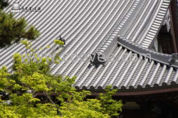 大量供應：各種瓦；!尊貴！