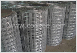 安平縣寶圣鑫黑鐵絲電焊網廠