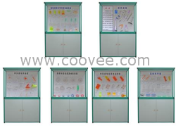 TY-6 型公差配合示教陈列柜
