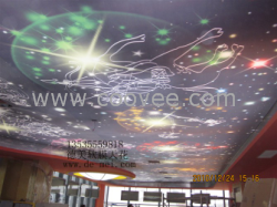 化州 陸豐 信宜 南雄 軟膜天花報價