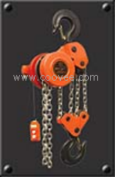 供應(yīng)DHP型環(huán)鏈電動(dòng)葫