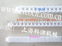 供應小RSP60龍骨鏈