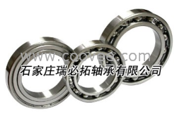 供應NSK軸承 6313ZZCM 深溝球軸承