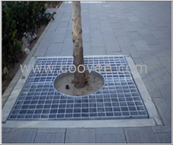 供應(yīng)生產(chǎn)樹池蓋